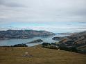 New_Zealand (654)